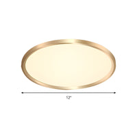 Ceiling Light with LED Metal Modern Flush Mount | Arelis