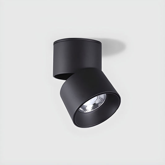Ceiling Light with LED Modern Flush Mount | Neyora