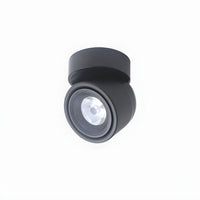 Ceiling Light with LED Nordic Flush Mount Design | Lorvien