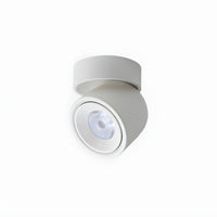 Ceiling Light with LED Nordic Flush Mount Design | Lorvien