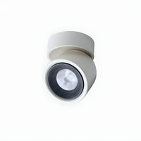 Ceiling Light with LED Nordic Flush Mount Design | Lorvien