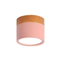 Ceiling Light with LED Nordic Metal Flush Mount | Nivora
