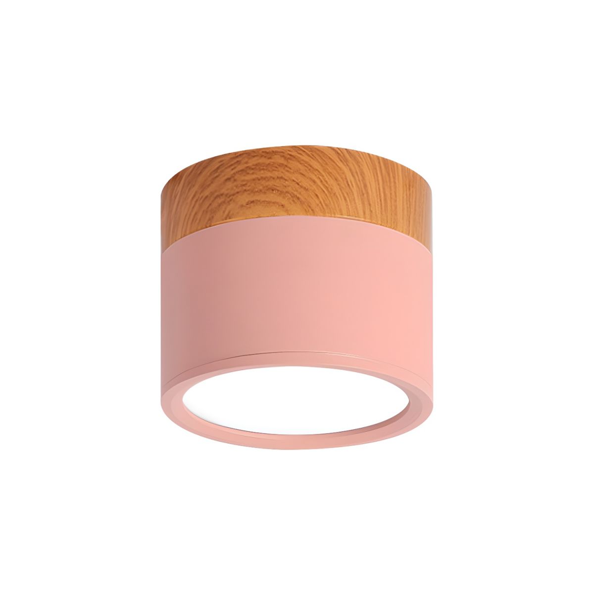 Ceiling Light with LED Nordic Metal Flush Mount | Nivora