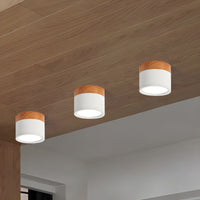 Ceiling Light with LED Nordic Metal Flush Mount | Nivora
