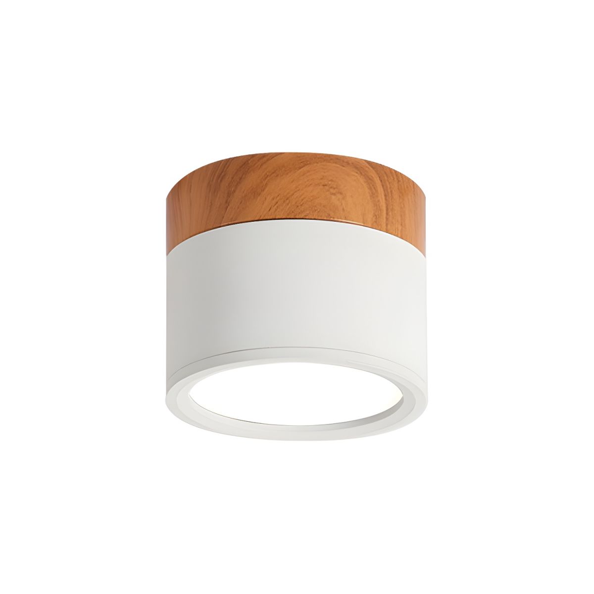 Ceiling Light with LED Nordic Metal Flush Mount | Nivora