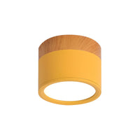 Ceiling Light with LED Nordic Metal Flush Mount | Nivora