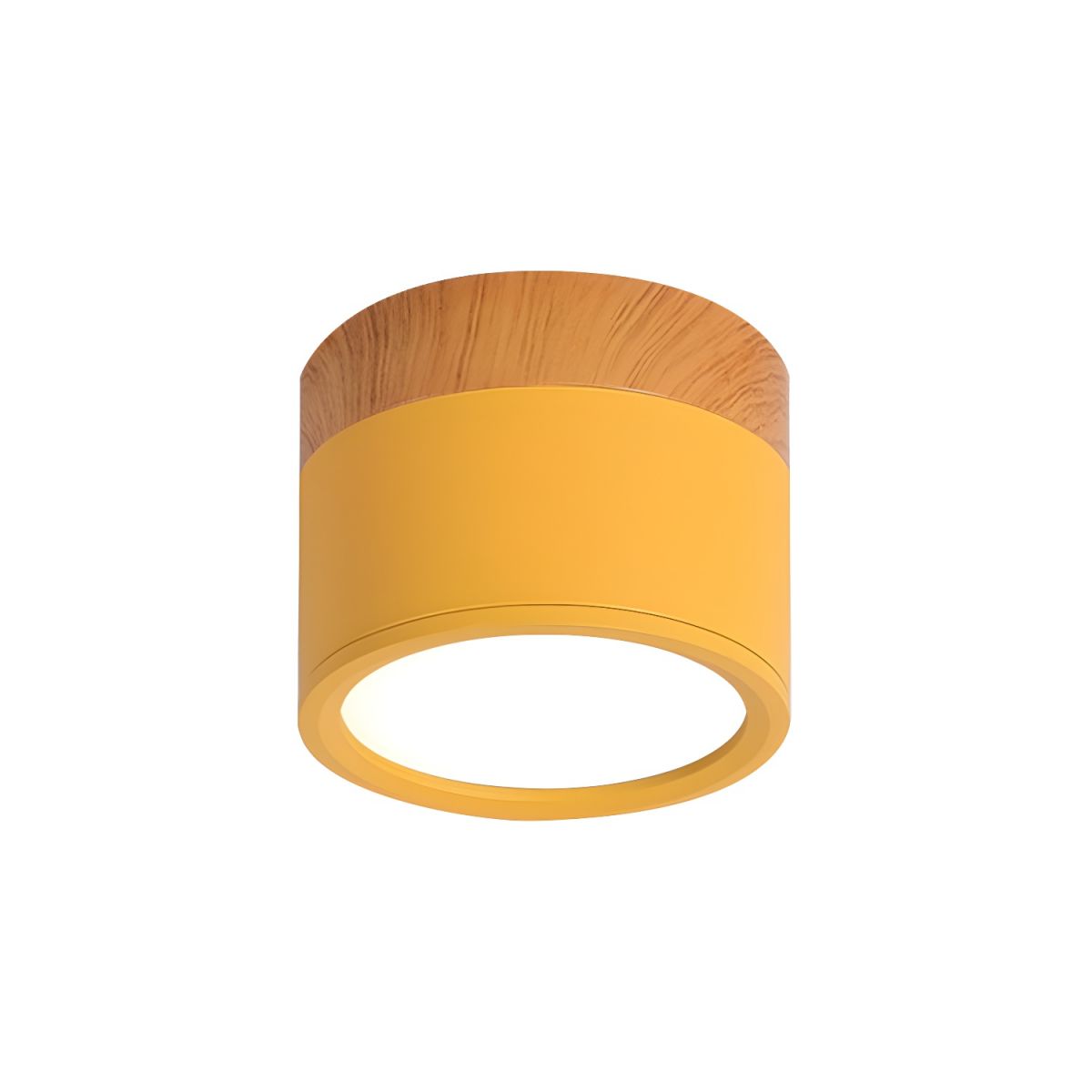 Ceiling Light with LED Nordic Metal Flush Mount | Nivora