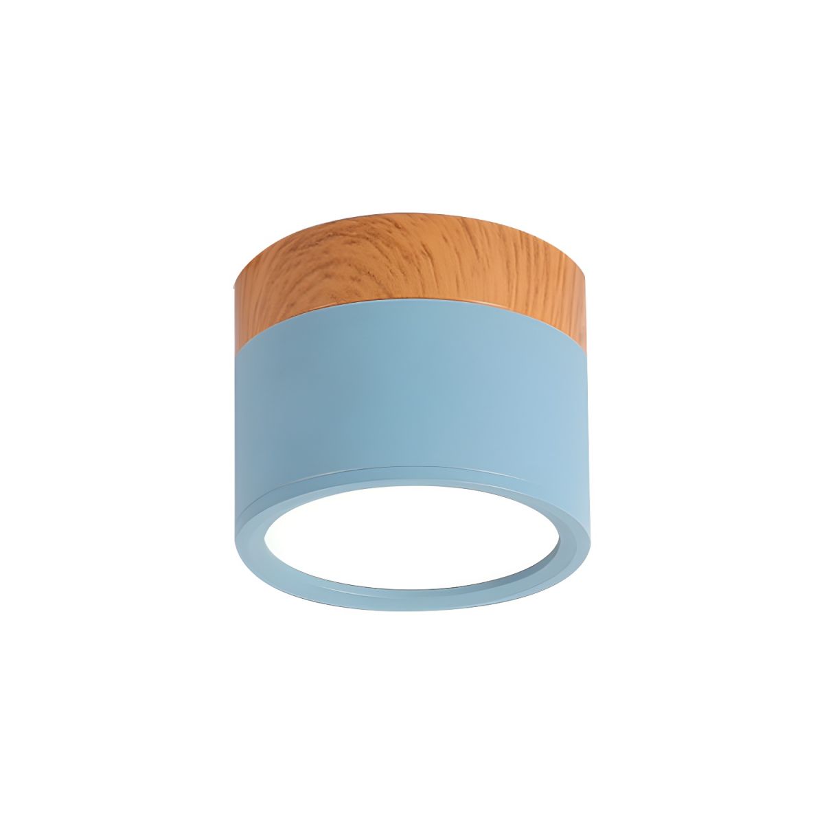 Ceiling Light with LED Nordic Metal Flush Mount | Nivora