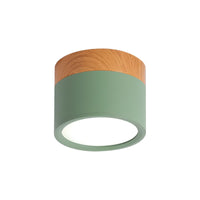 Ceiling Light with LED Nordic Metal Flush Mount | Nivora