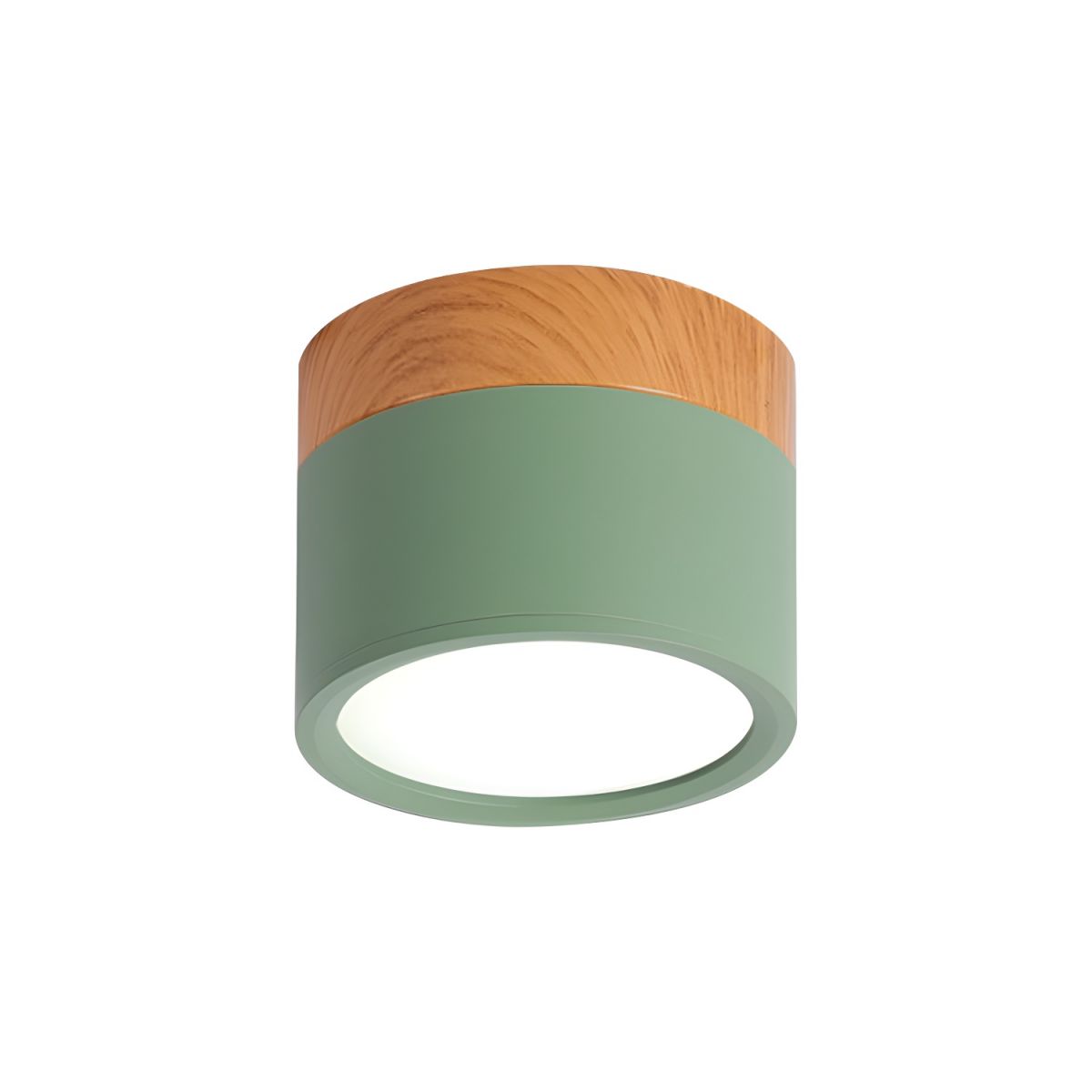 Ceiling Light with LED Nordic Metal Flush Mount | Nivora