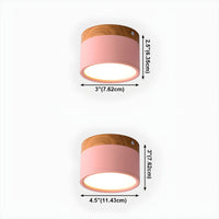 Ceiling Light with LED Nordic Modern Flush Mount | Luvano