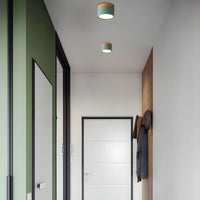 Ceiling Light with LED Nordic Modern Flush Mount | Luvano