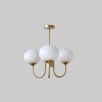 Chandelier Glass Shades in Nordic Style | Marshia