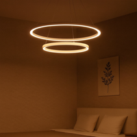 Chandelier LED Rings in Modern Design | Narexa