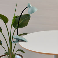 Clamp Lamp with LED Flexible Gooseneck Modern Design | Orenia