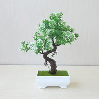 Decor Bonsai Tree Plastic in Modern Style | Renvalo