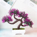 Decor Bonsai Tree Plastic in Modern Style | Renvalo