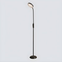 Floor Lamp Metal LED in Modern Style | Cironi