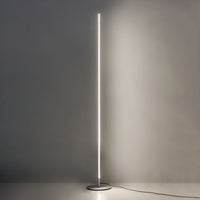 Floor Lamp Metal Linear Shape Modern Design | Varelo