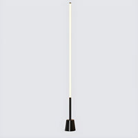 Floor Lamp with Linear Metal Frame Modern Style | Velinor