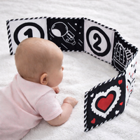 Montessori Toy High Contrast Baby Sensory Cloth Book | Luminiq