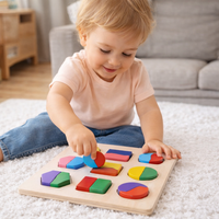 Montessori Toy Wooden Shape Sorting Puzzle | Formelo