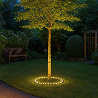 Outdoor Light LED Spotlight for Tree Illumination | Rionel