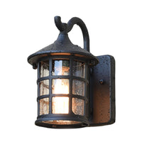 Outdoor Light Seeded Glass Lantern Rustic Wall Mount | Zeldon