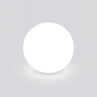 Outdoor Light Solar Sphere in Modern Style | Solvaya