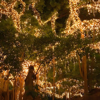 Outdoor Light Solar String with LED Beads Modern | Calero