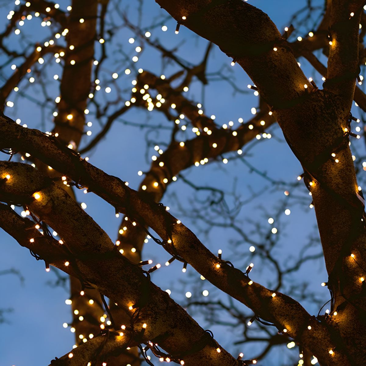 Outdoor Light Solar String with LED Beads Modern | Calero