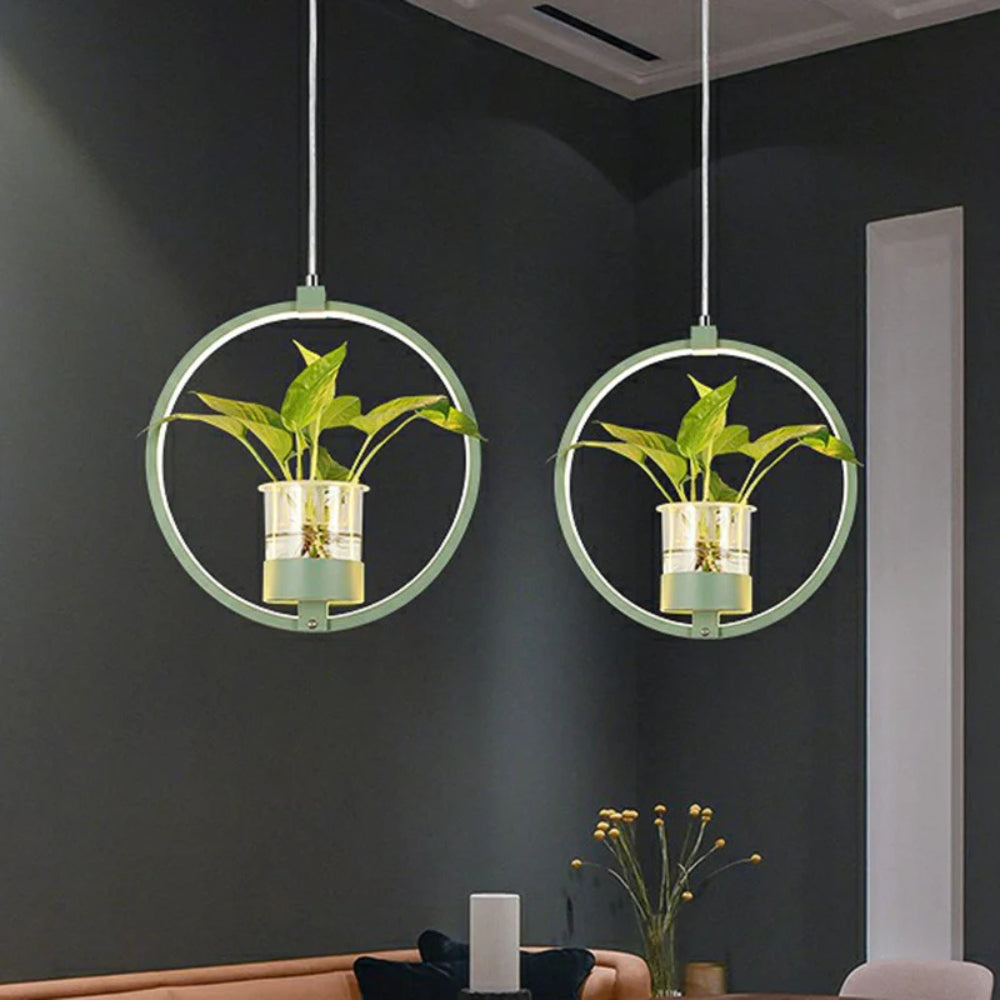 Pendant Light Acrylic LED Nordic Dining Room Suspension | Rovexe