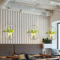 Pendant Light Acrylic LED Nordic Dining Room Suspension | Rovexe