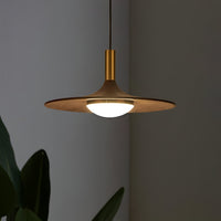Pendant Light Iron Shade in Nordic Minimalist Style | Tavrin
