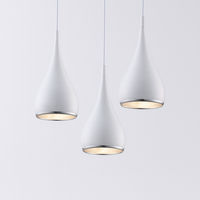 Pendant Light LED with Adjustable Cord Modern Design | Lenrio