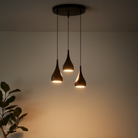 Pendant Light LED with Adjustable Cord Modern Design | Lenrio