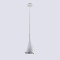 Pendant Light LED with Adjustable Cord Modern Design | Lenrio