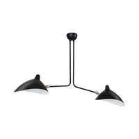 Pendant Light Metal Duckbill Modern Ceiling Lighting | Zandor