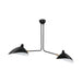 Pendant Light Metal Duckbill Modern Ceiling Lighting | Zandor
