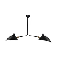 Pendant Light Metal Duckbill Modern Ceiling Lighting | Zandor