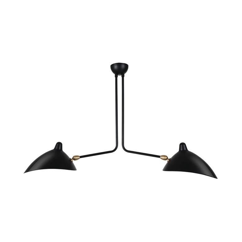 Pendant Light Metal Duckbill Modern Ceiling Lighting | Zandor