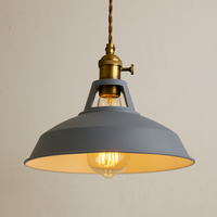 Pendant Light Metal LED in Colour Loft Design Look | Cilvion