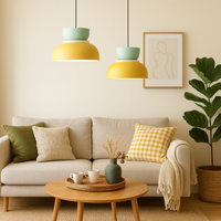 Pendant Light Metal Shade in Nordic Colour Style | Moltra