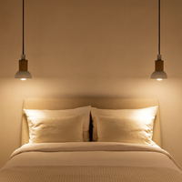 Pendant Light Nordic Shape Wood Metal | Arveta