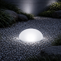 Solar Frosted Globe Ground Light Outdoor | Toldan