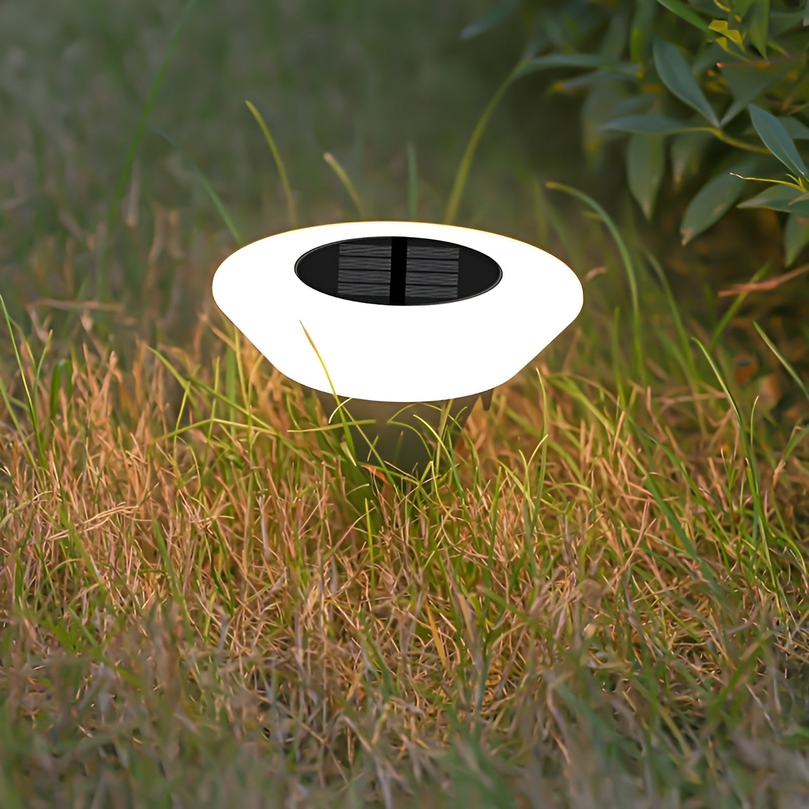 Solar Garden Light LED Warm White Outdoor Path Lighting | Losviro
