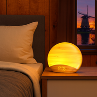 Sunrise Alarm Clock Wooden Wake Up Light Modern Design | Orenza