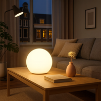 Table Lamp Wireless LED Globe Mood Light Rechargeable | Zenari