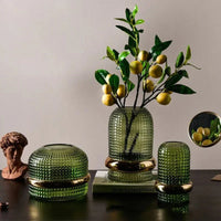 Vase Hydroponic Glass Modern Display | Mervila