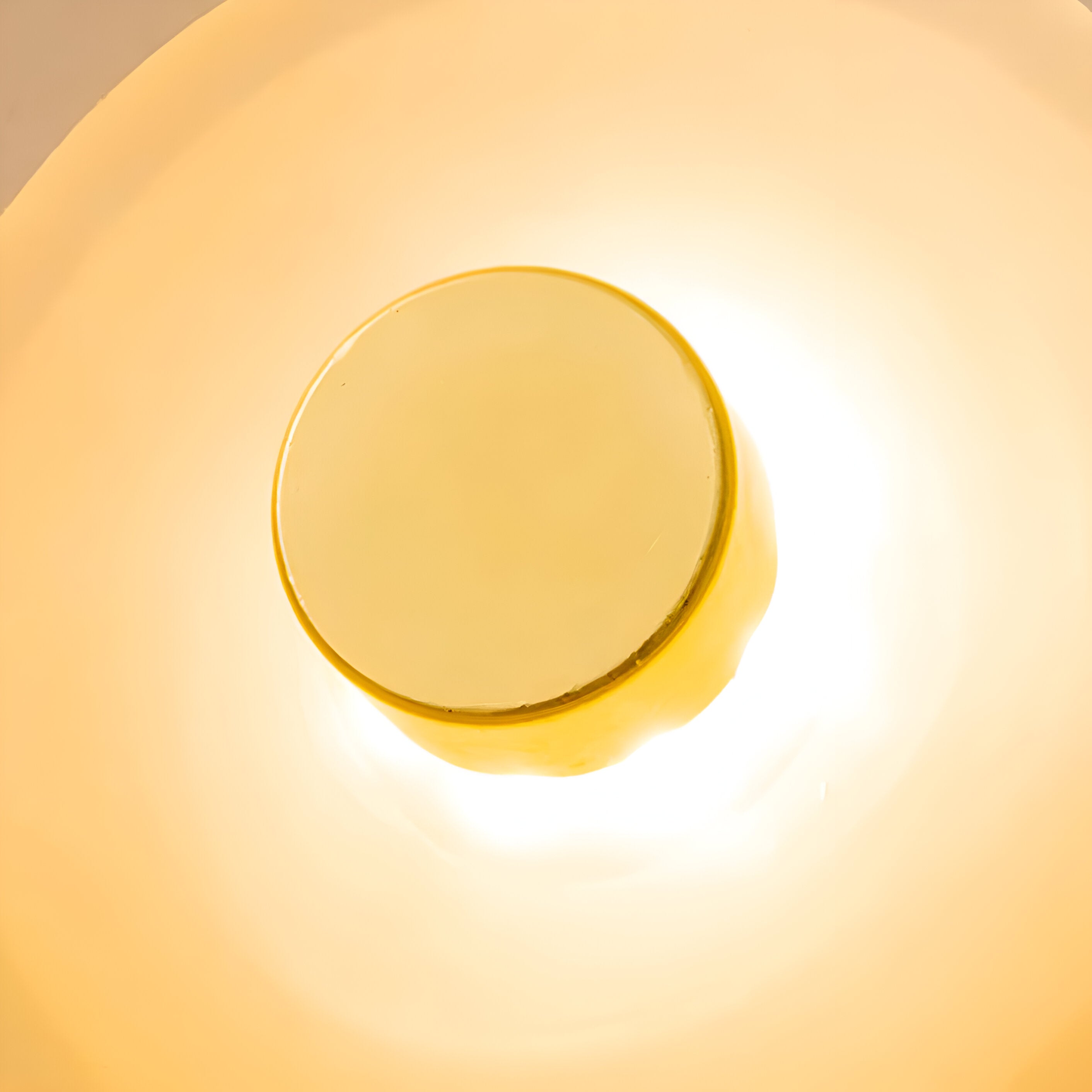 Wall Light Curved Glass in Nordic Japandi Style | Lysaro